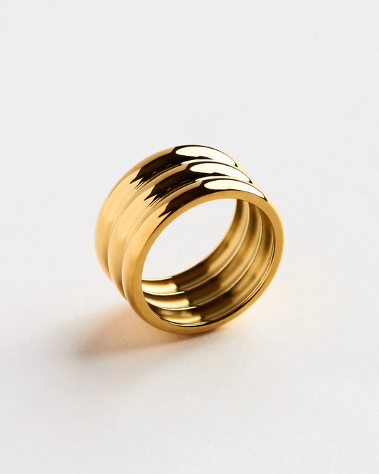 Anillo Aris